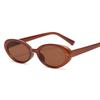 2025 new sunglasses Elliptical cat eye black sunglasses for women retro and trendy European and American bloggers,