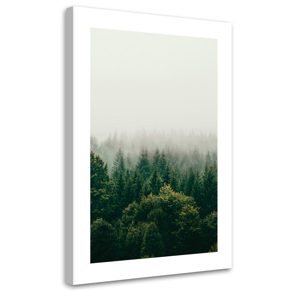 Canvas Print, Green Forest In the Fog