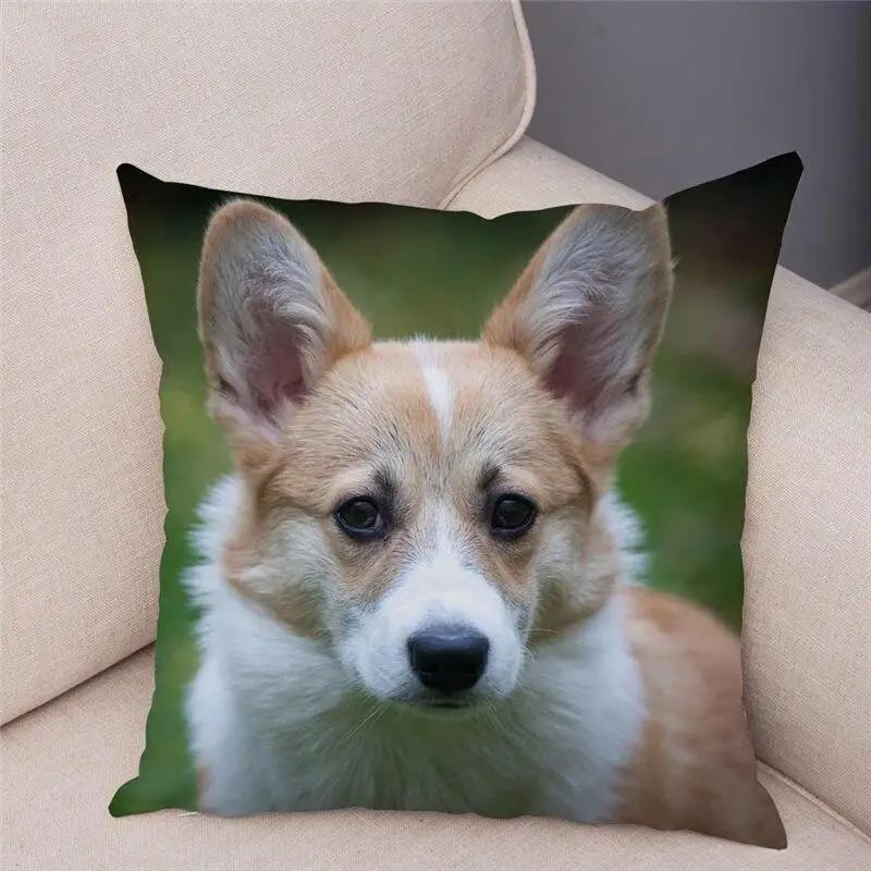 Cute Welsh Corgi Pembroke Dog Pillow Case Cm Cushion Cover Polyester Decorative Pet Animal   Car Sofa Home