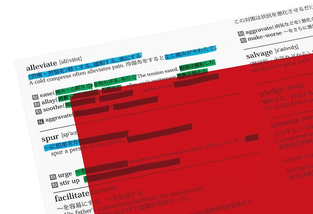 Zebra Memorization Check Alpha Set 10 Pieces Blue/Red B-P-SE-WYT20-BLR