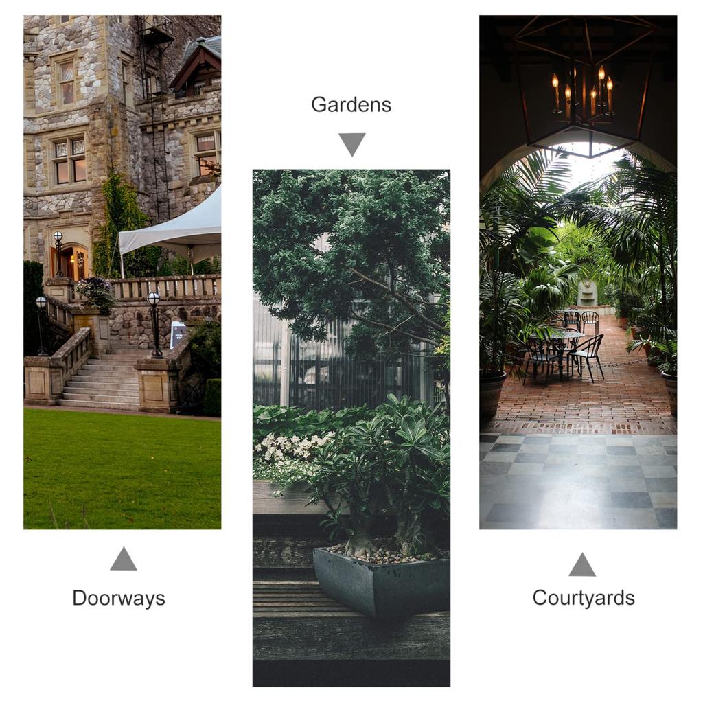 OUNONA Orchid Flower Seedling with Pack of Phalaenopsis Orchid Flower Plant Hydroponic Succulent 14X12cm Pot, Pot, Pot, Transparent, Holes, 10, Pot,