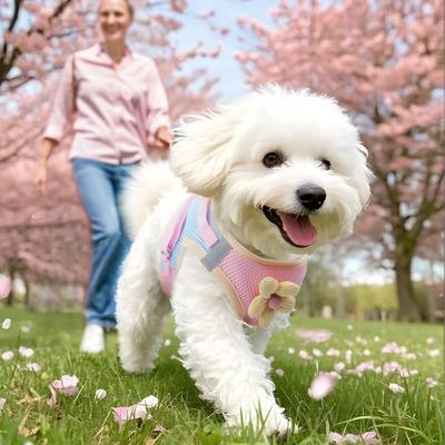 Fileli Koşum Küçük Köpek Gezdirme Tasması Yürüyüş Çiçek Açık Hava Yansıtıcı Yelek Tarzı Koşum Renk Bloklu Nefes Alabilir Evcil Hayvan Koşumu Tasma