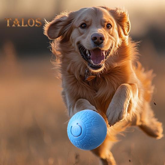 Interaktywna zabawka piłka dla psa Smart Jumping Electric Vibrating Pet Bounce Ball USB Rechargeable Automatic Movement Ball Dog Toys for Dogs & Cats