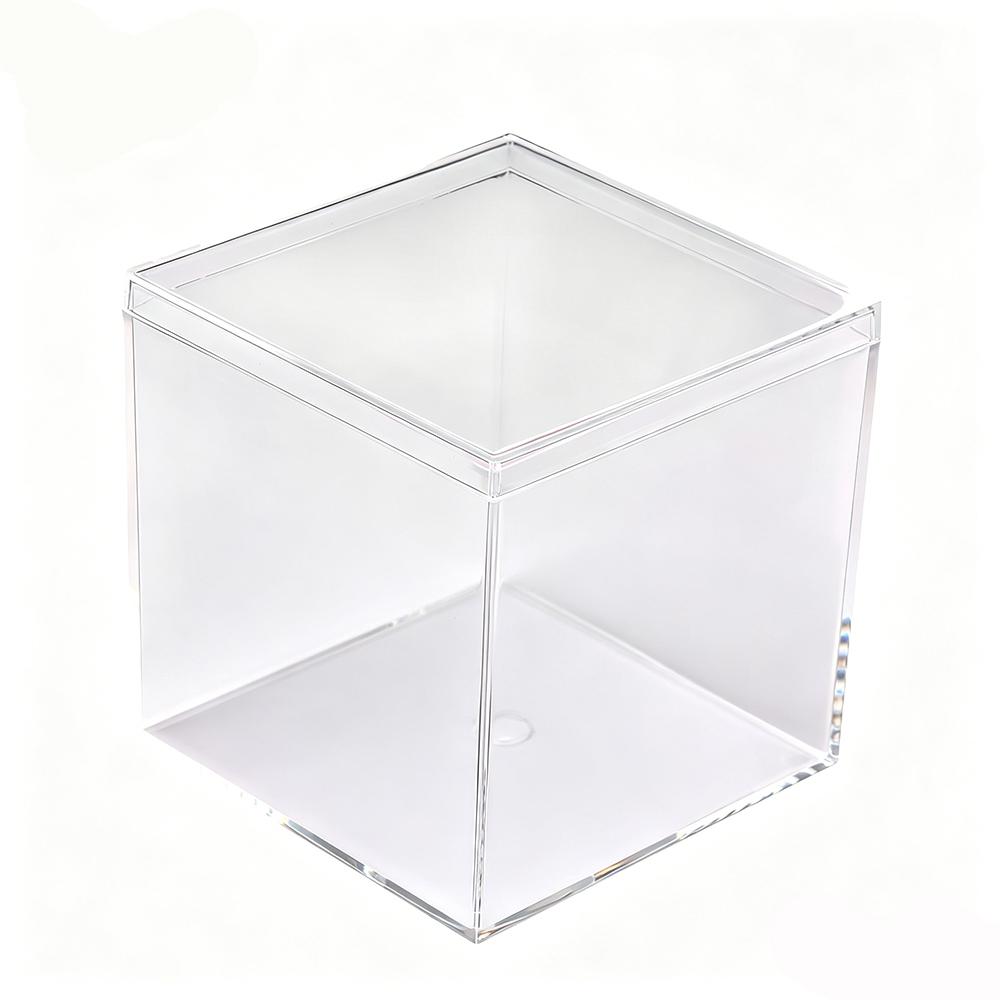 

1pc Transparent Acrylic Display Box, Plastic Organizer for Nee Doh Fidget Squeeze Toy, Clear Case for Squishy Toy Packaging