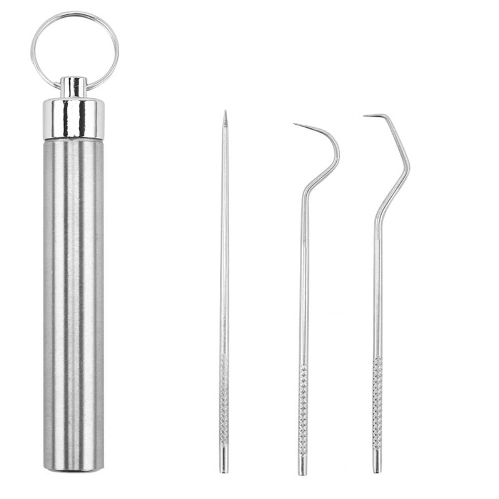 Oral Cleaning Tool Tooth Flosser Seal Storage Box Stainless Steel Toothpick Set Keychain Holder Toothpick Pocket Set Tooth Pick