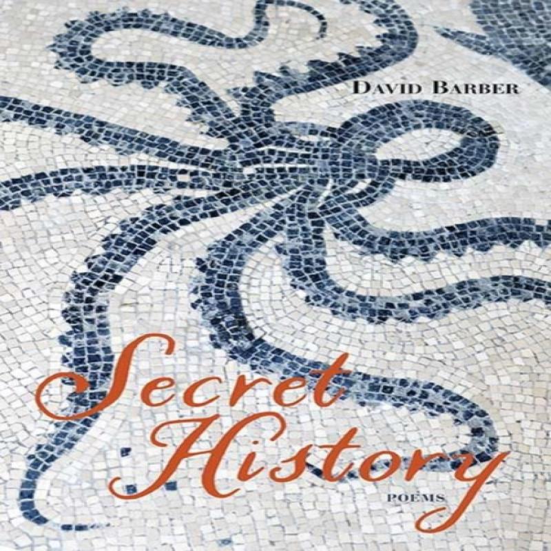Secret History by David Barber Paperback Book 9780810141223