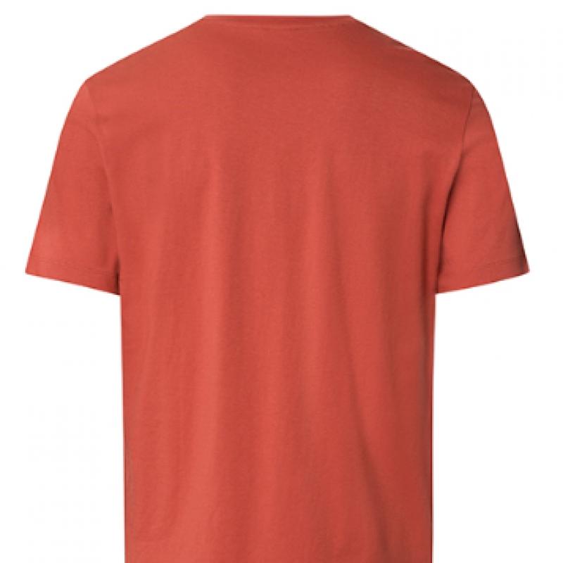 Hanro ShorT Sleeve T shirT 75050 chuTney
