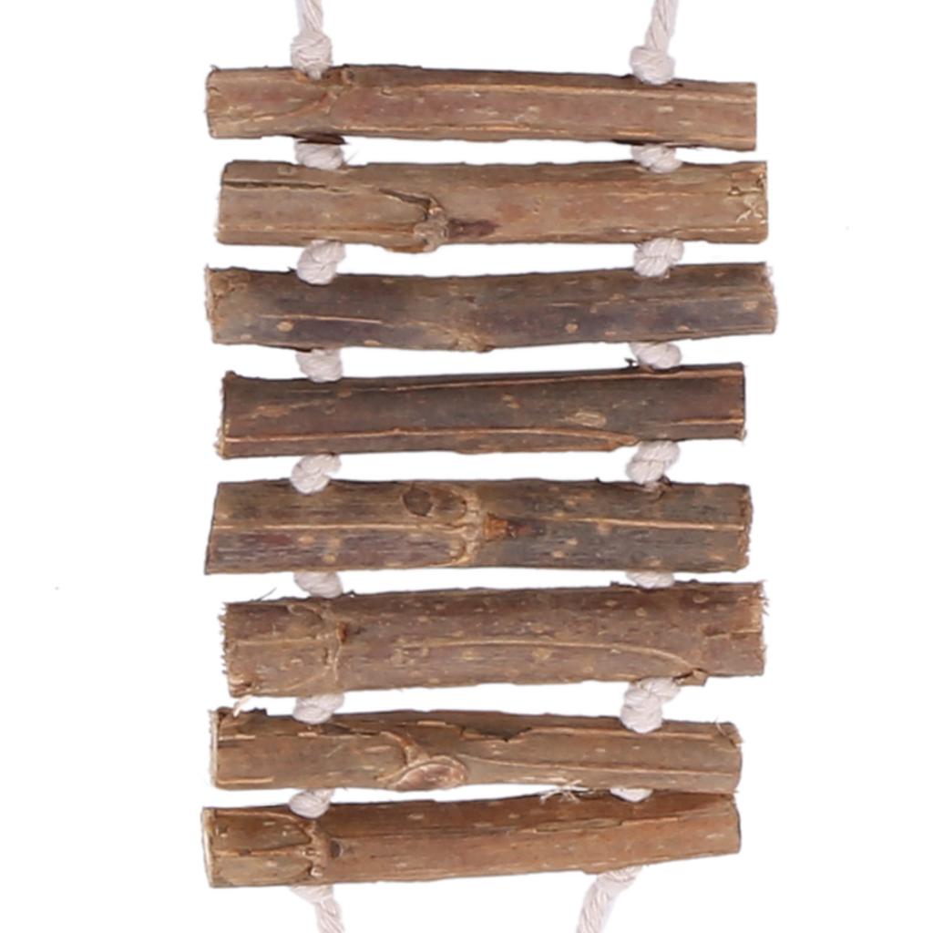 M-Modern-100% Natural Coconut Husk Coconut Hide With Ladder For Bird Shell Hideaway Durable Habitat