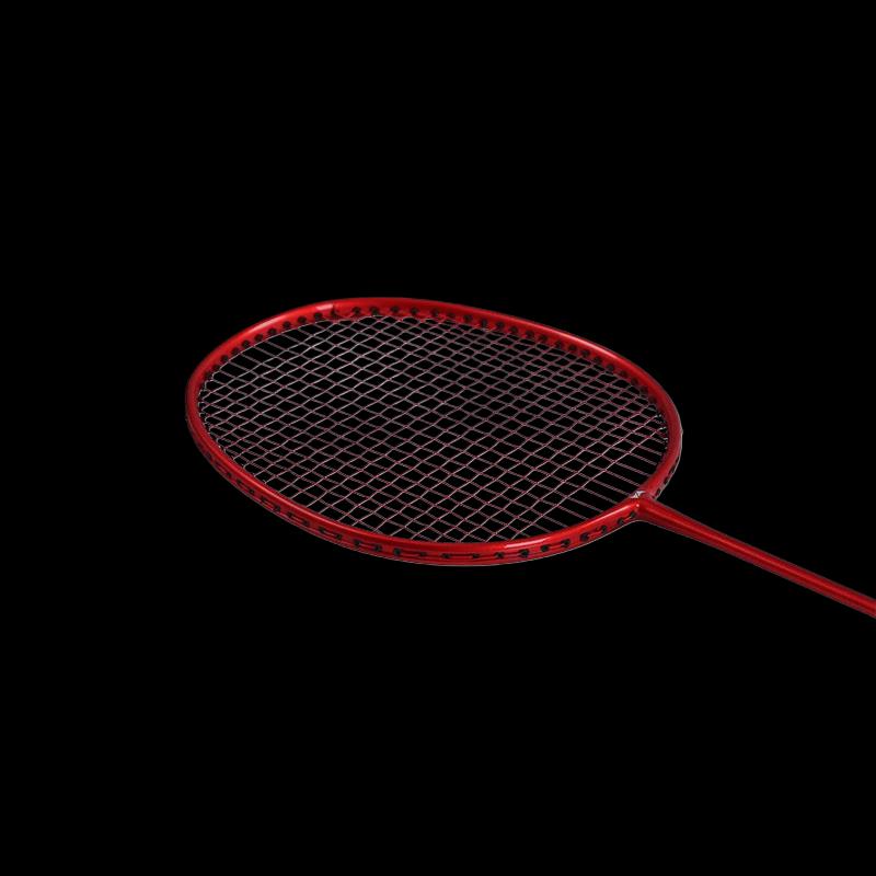 Hodtown HDW1315 Beginner Badminton Racket Set