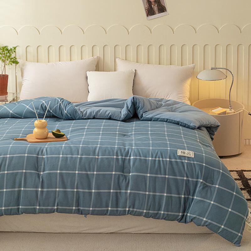 

Zile Xinjiang Cotton Summer Duvet Quilt 220x240cm