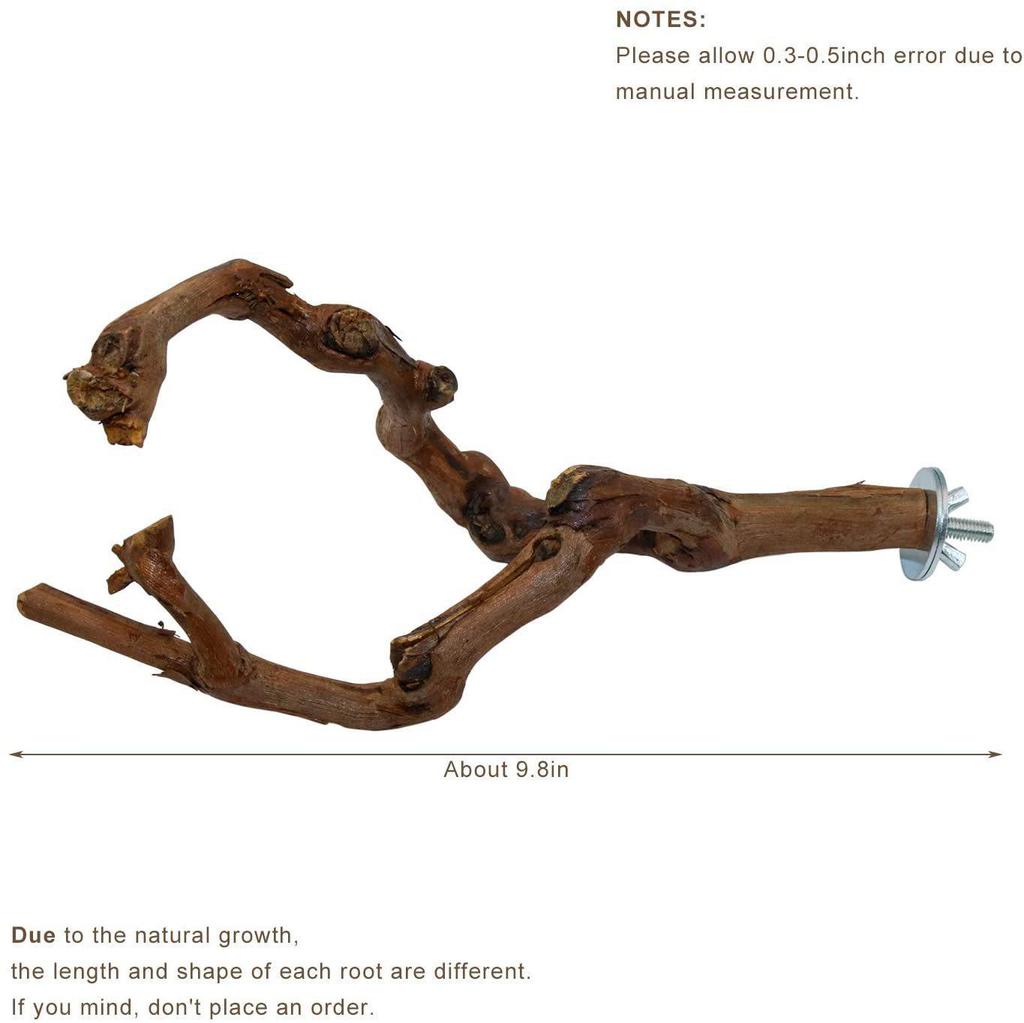 Parrot Toy Set: Combination Stand, Tree Fork, Grape Stick, Vine and Birdcage Rod