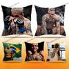 CCharles Brazil OOliveira Pillow Case Ultra Soft Skin Friendly Fabric Cloud Like Comfort Concealed Zipper