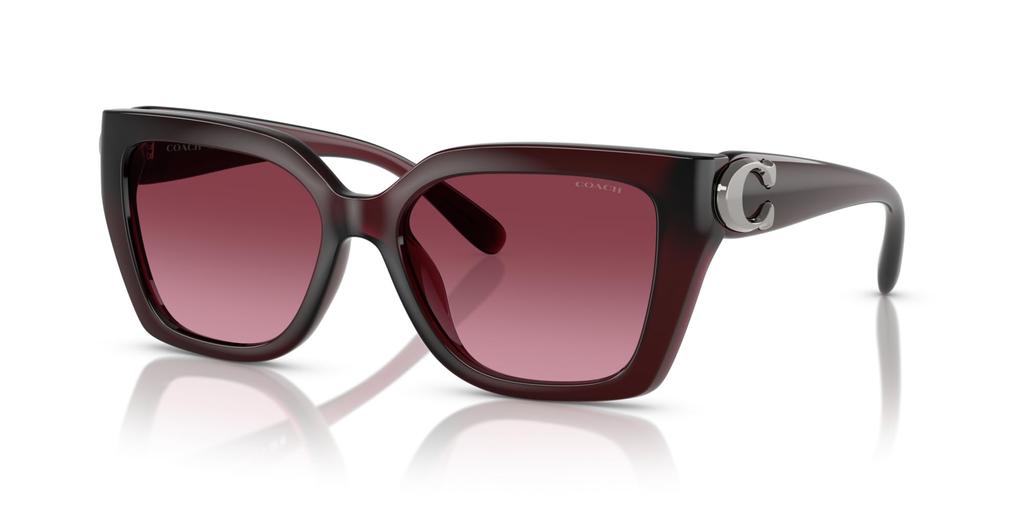 Sunglasses 0HC8408F MILKY BURGUNDY 57 [Coach]