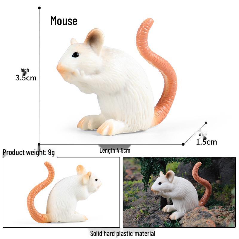 Wild Safari Animal Figurines: Giraffe, Elephant, Rhinoceros, Brown Bear, Tiger, Lion, Leopard, Hippopotamus - Solid Cognitive Toys