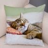 Cute Pet Animal Print Pillowcase Funny  Cat  Decoration Car Sofa Home Cushion Cover