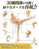 CHALAN Drawing 30 Moveable Drawing Drawing Full Body Character Male and with Drawing Changeable Male Skin Tone Doll, Manga, Joints, Model, Figure,