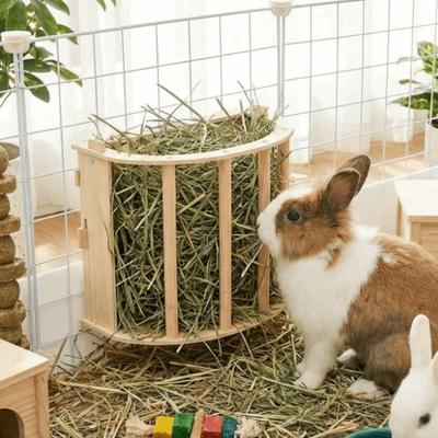 Built-in Hay Feeder Rack Wooden Ferret Hay Manger Practical Bunny Hay Feeder  Guinea Pig