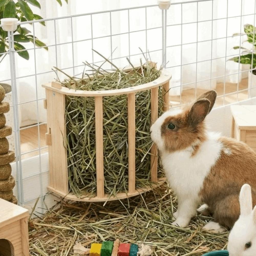 Built-in Hay Feeder Rack Wooden Ferret Hay Manger Practical Bunny Hay Feeder  Guinea Pig