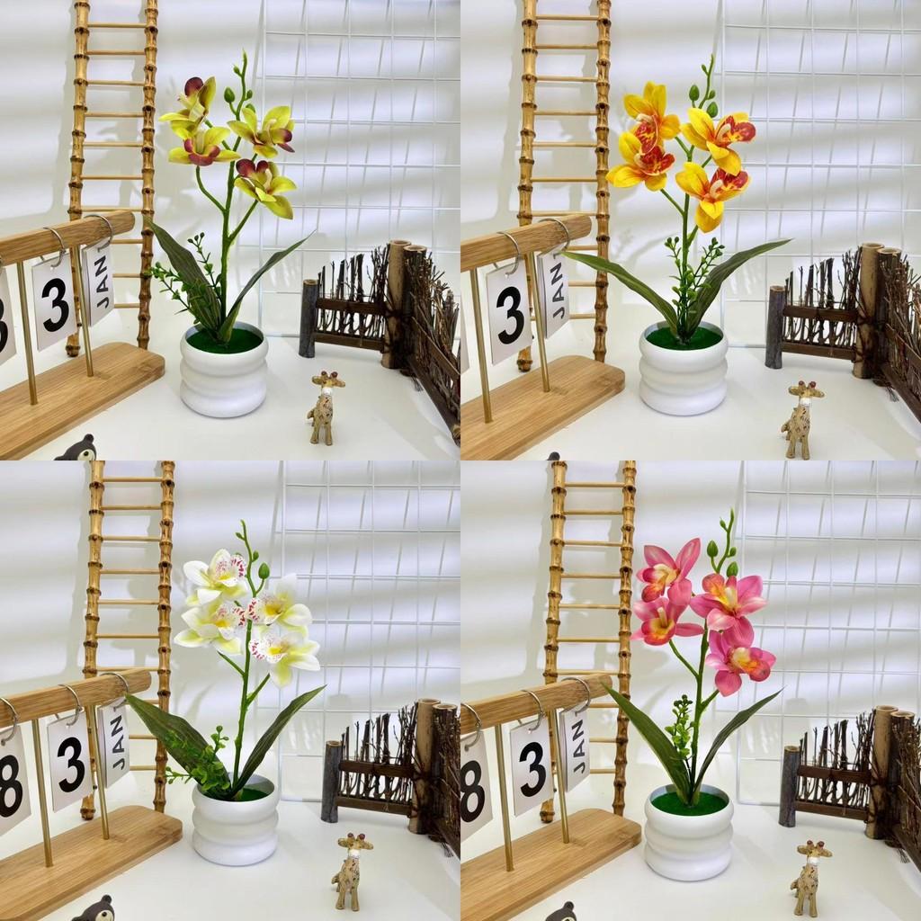 Rolfe Cymbidium Faberi Artificial Plant Flowers Bonsai For Prop Photography