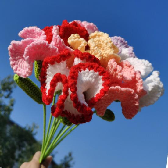 Knitted Carnation Hand-made Flower with Wool Hand Crocheting Artificial Packing Bag Home Decor