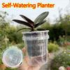 Meshpot Root Control Transparent Flowerpot Breathable Flowerpot Double-layer Growth Container with Drainage Hole Orchid Planters
