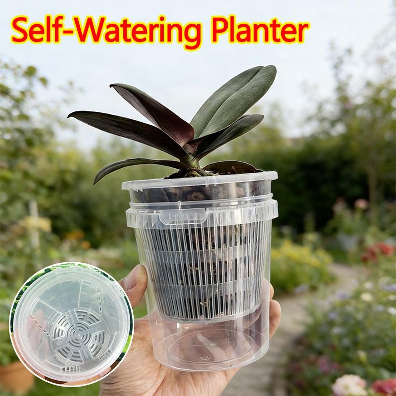 Meshpot Root Control Transparent Flowerpot Breathable Flowerpot Double-layer Growth Container with Drainage Hole Orchid Planters