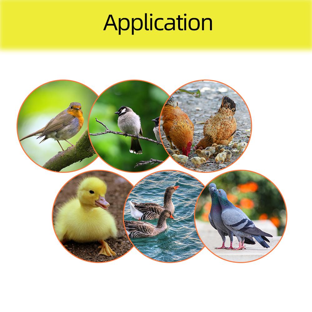 154 Eggs Incubator Automatic Eggs Turning Tray Bird Duck Chicken Eggs Hatching Machine 12V 220V Rotating Incubator Trays