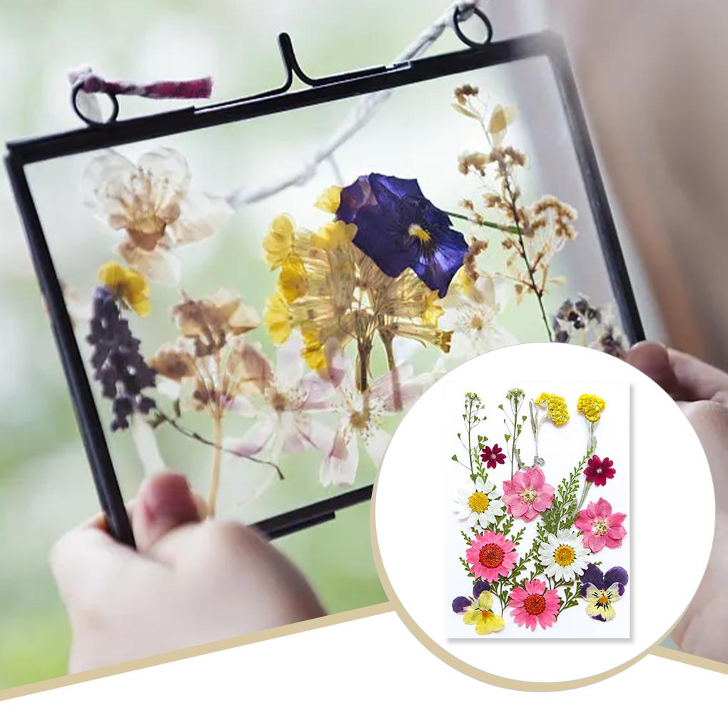 Dried Pressed Flower Handmade Decorative Artificial Flowers Dry Plant Resin Scrapbook Craft DIY Accessories Home