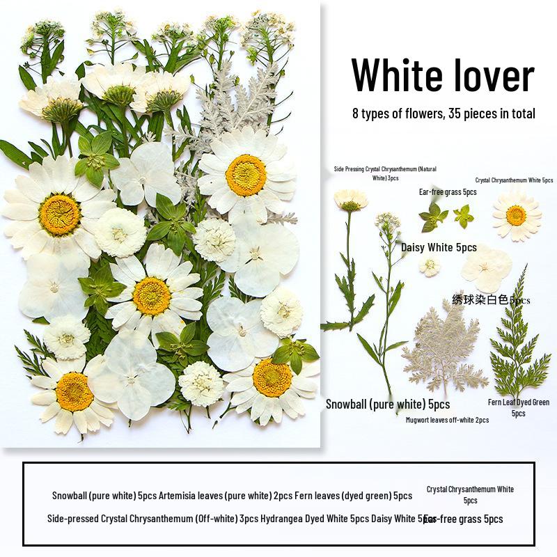 Handmade Resin Pressed Flower Bookmark DIY Kit: Transparent Specimen Stickers & Dried Flowers for Students