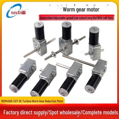 12V/24V DC Worm Gear Motor with Self-Locking & Adjustable Speed for Electric Clothes Drying Rack