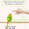 Moderne Vogel-Freilassleine für tägliche Outdoor-Aktivitäten mit Fußring und Karabinerhaken Langlebige Vogelleine für geliebte Vögel