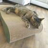 Mimi cat scratching post | green 40cm | 70x23x40 cm | MruuPruu