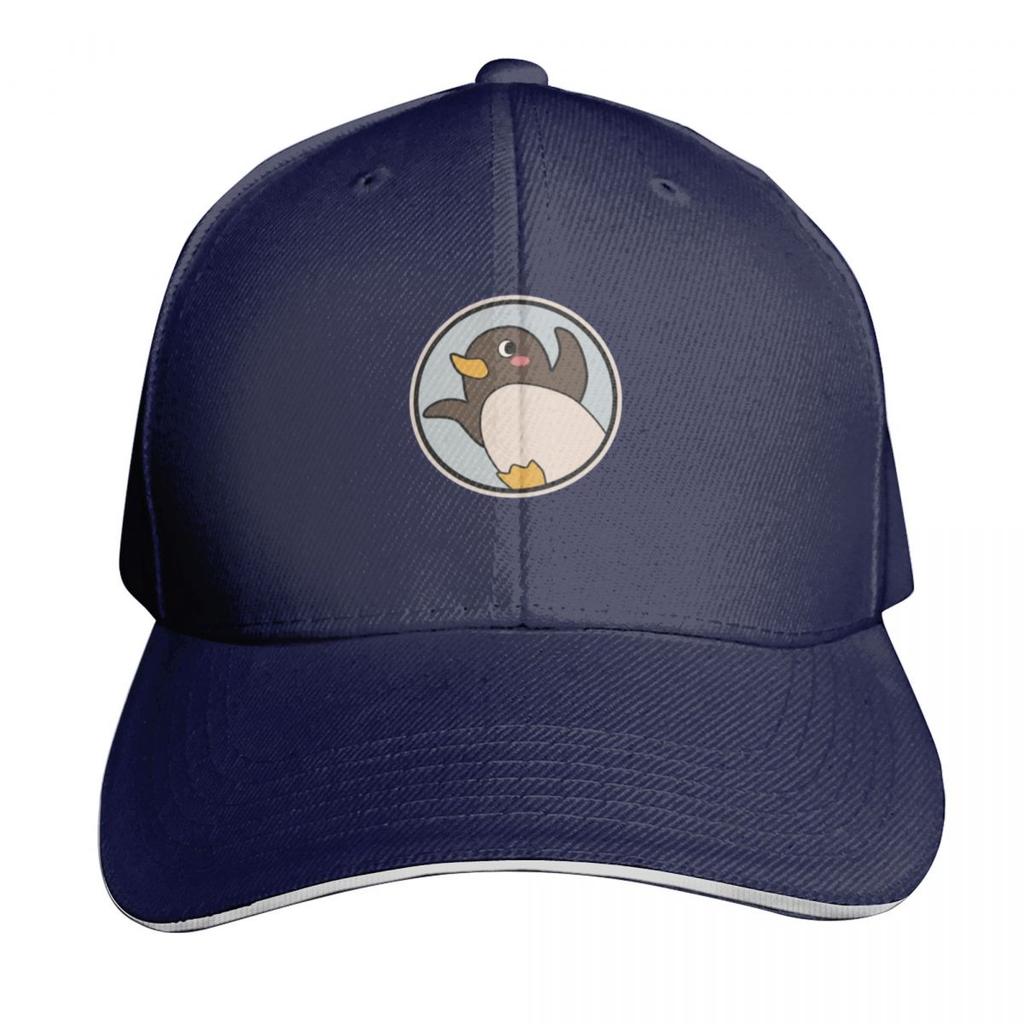 A Place Further Than the Universe  Challenge for Antarctic Logo Essential  Baseball Cap Rugby Western Hat For Women  Unisexs