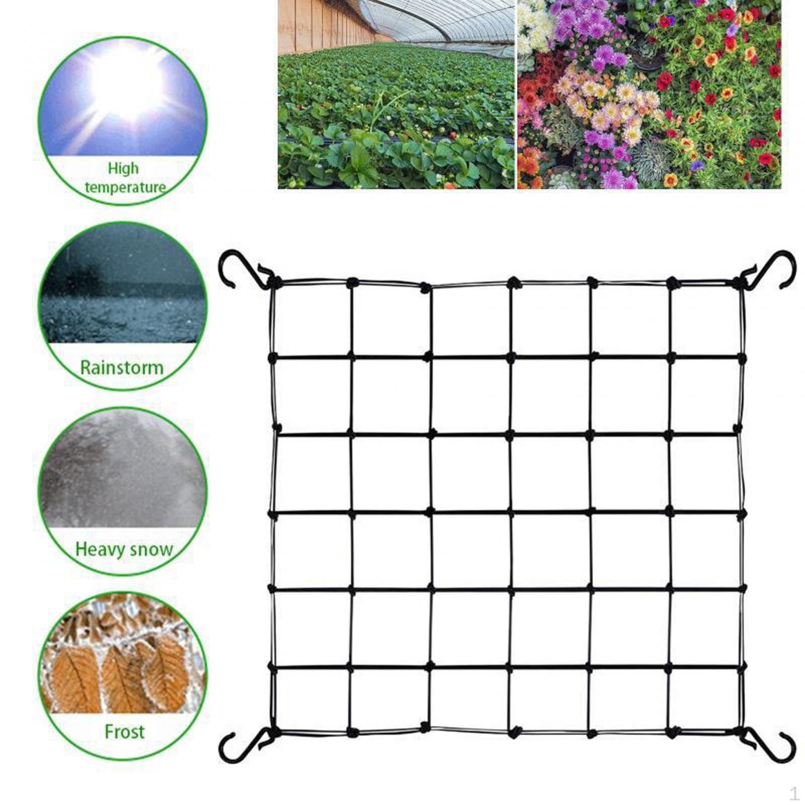 

Plant Trellis Netting for Outdoor Gardening 120cmx120cm