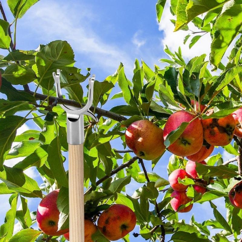 Durable Tree Support Stakes For Fragile Plant Easy Installation Metal Garden Stakes For Vine Flowers And Saplings