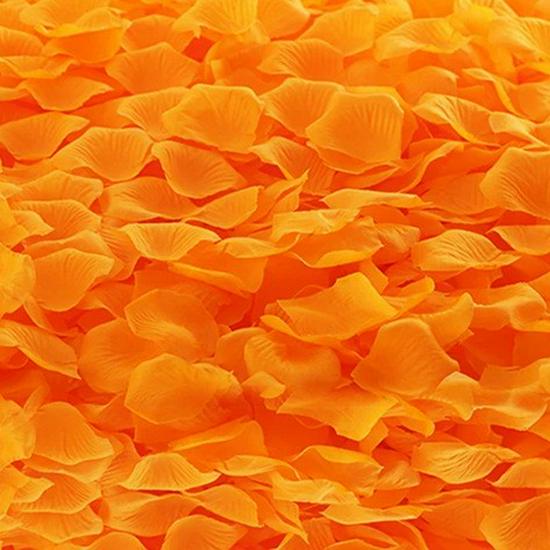 Rose Petal Decor for Weddings: Ceremony, Room, Proposal & More