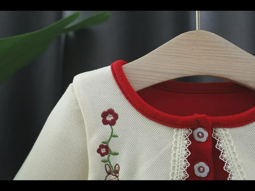 Frühlingsprinzessin Besticktes Langarmkleid für Mädchen