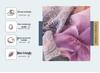 Thickened Brushed Pure Cotton Autumn/Winter Bedding Set - All-Season Universal (Four-Piece & Three-Piece Options)