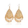 Women's Simple Fashion Long Drop Water Leaf Fringe Earrings