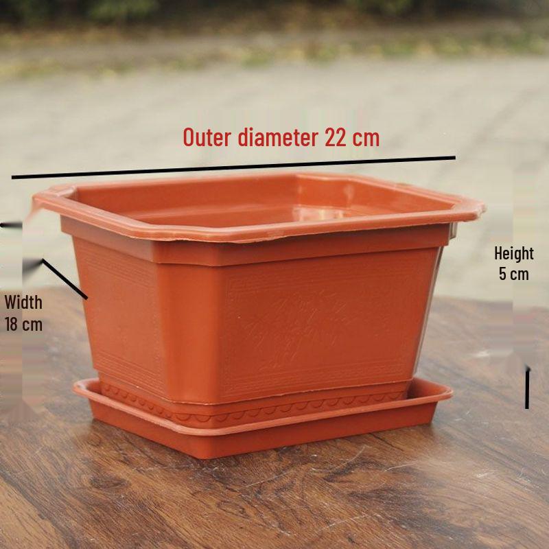 Large Rectangular Plastic Flower and Vegetable Planting Pot | Bonsai and Ficus Planter with Base