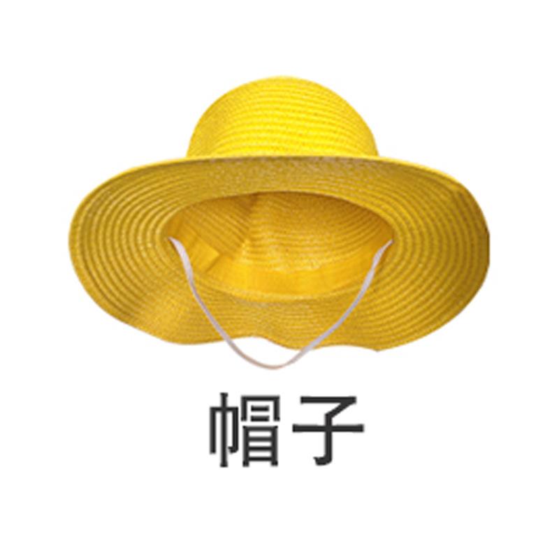 Head Island Luffy cos clothing Future Island children's animation cosplay male stage performance clothing