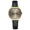 Premium Fritillary Plate Quartz Women'S Watch Fashion Versatile Leather Watch Women'S Simple Niche Waterproof Watch
