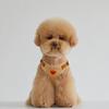 Thump In My Heart Prettyness Dog Harness Set, Beige