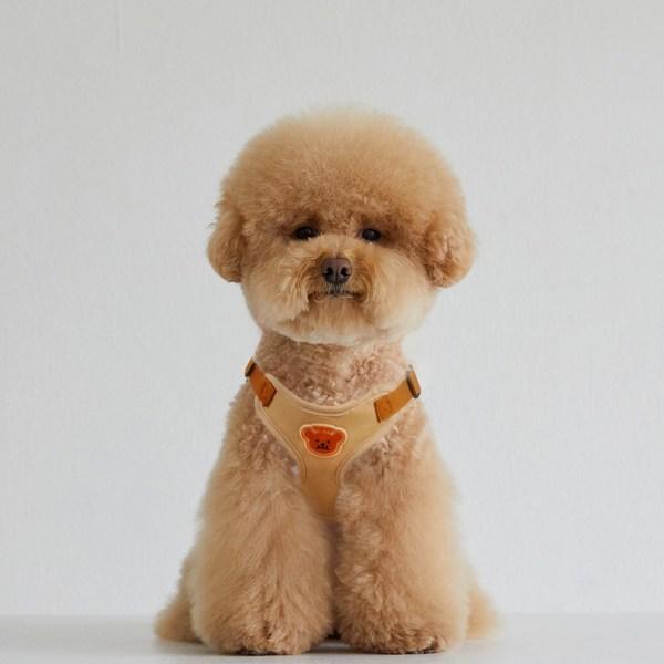 Thump In My Heart Prettyness Dog Harness Set, Beige