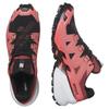 SALOMON Trail Running Shoes Spikecross 6 Goretex