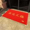Zijingxiu Welcome Durable Entrance Floor Mat
