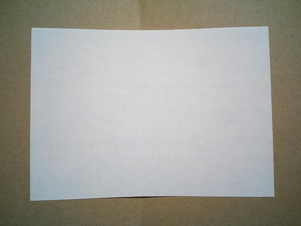 [USED] Rare Retro Vampire Knight Bonus Paper Sanseido Volume 17