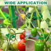 Reusable Plastic Plant Support Clips Garden Vine Strapping Fixing Clip for Climbing Tomato Grape Vegetables Stalk Holders Buckle