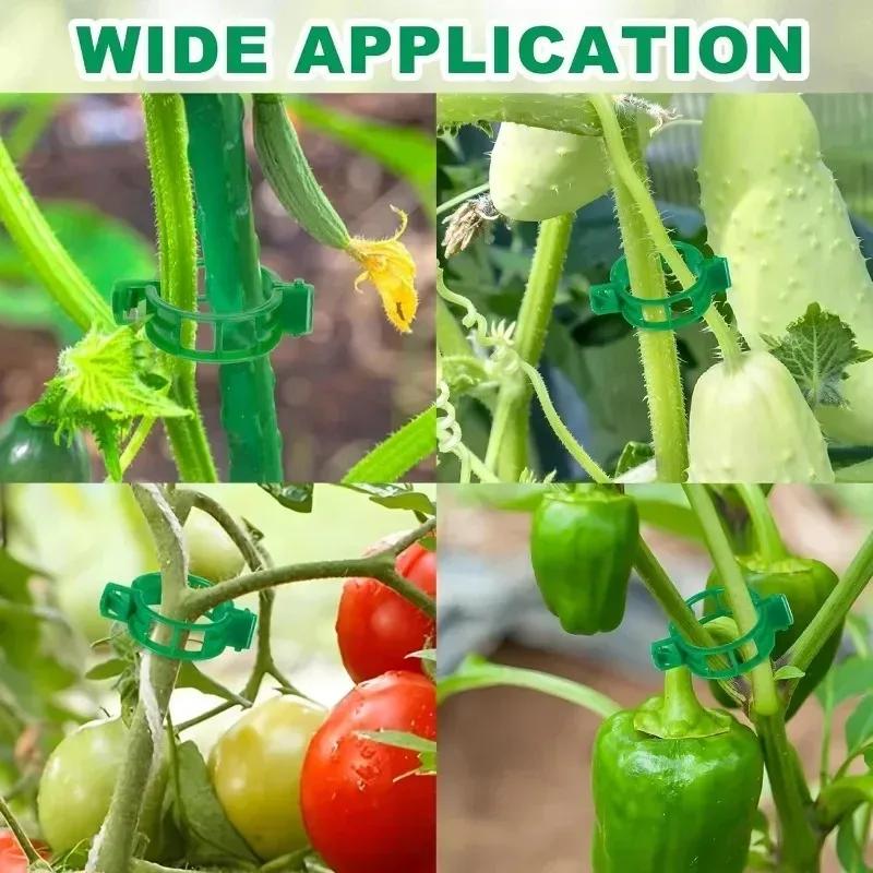 Reusable Plastic Plant Support Clips Garden Vine Strapping Fixing Clip for Climbing Tomato Grape Vegetables Stalk Holders Buckle