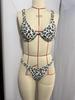 2026 Leopard Print Sexy Bikini Swimwear Set - Women's European & American Split Swimsuit